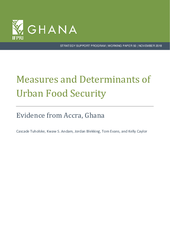 (PDF) Measures and Determinants of Urban Food Security: Evidence from ...