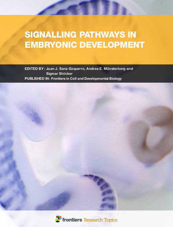(PDF) Signalling Pathways in Embryonic Development Juanjo Sanz