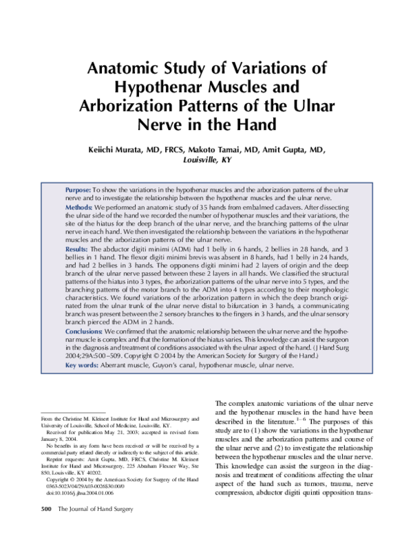 (PDF) Anatomic study of variations of hypothenar muscles and ...