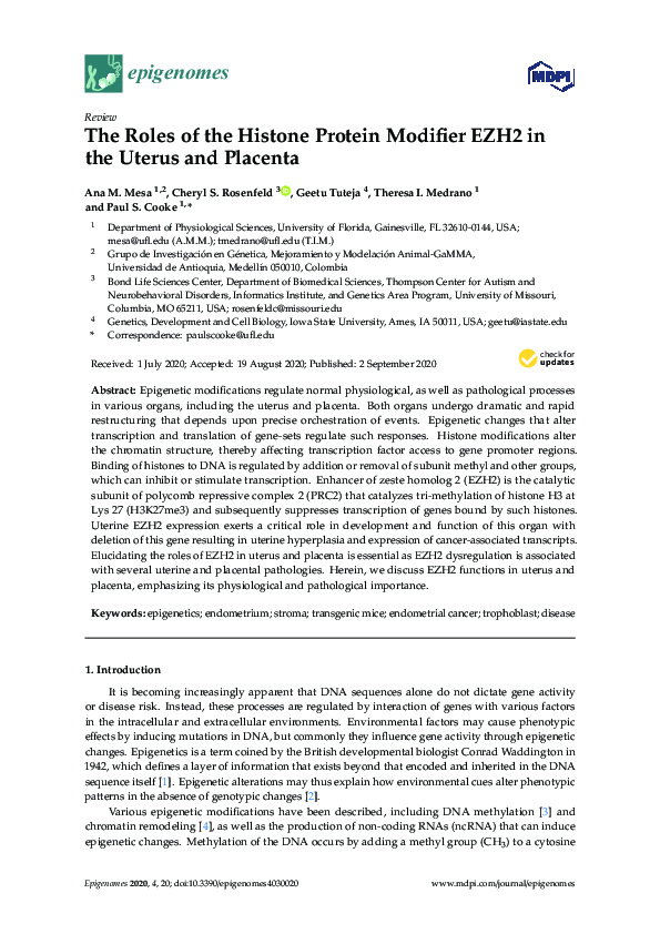 (PDF) The Roles of the Histone Protein Modifier EZH2 in the Uterus and ...