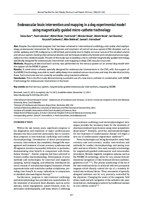 (PDF) Endovascular brain intervention and mapping in a dog experimental ...