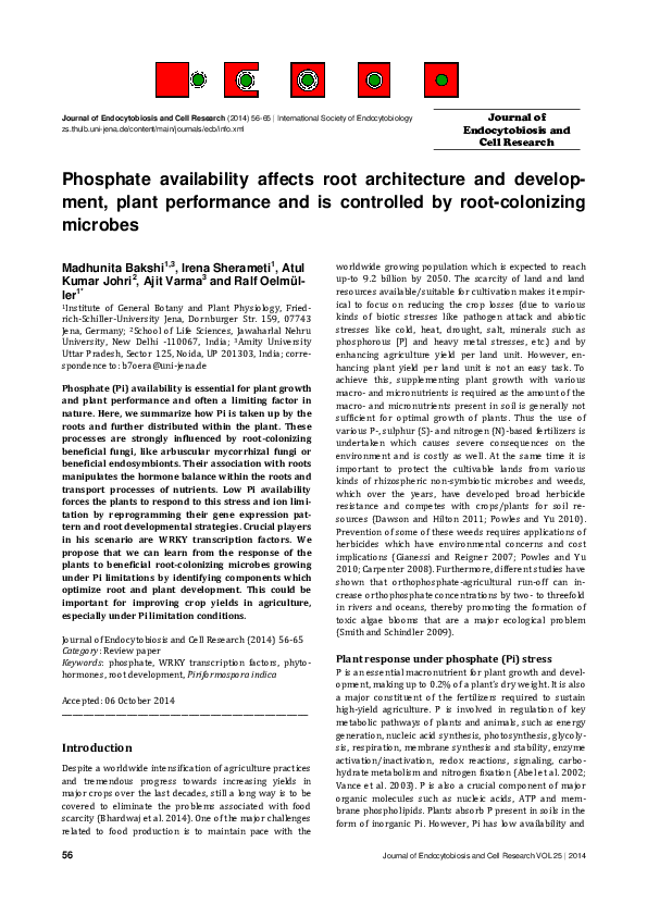 (PDF) Phosphate availability affects root architecture and development ...