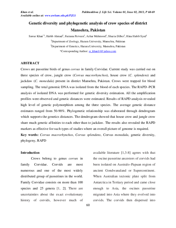 (PDF) Genetic diversity and phylogenetic analysis of crow species of ...