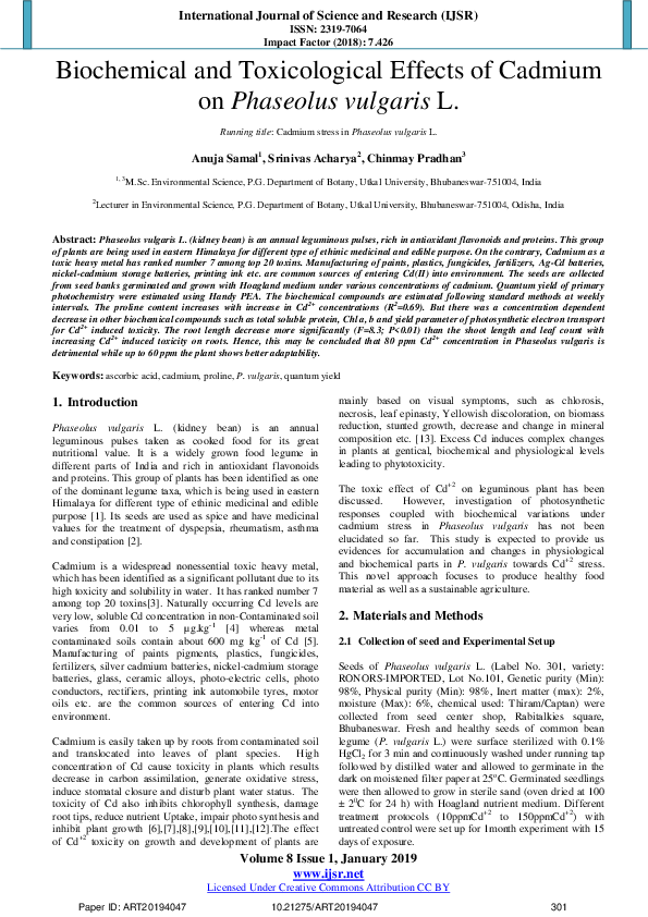 (PDF) Biochemical and Toxicological Effects of Cadmium on Phaseolus ...