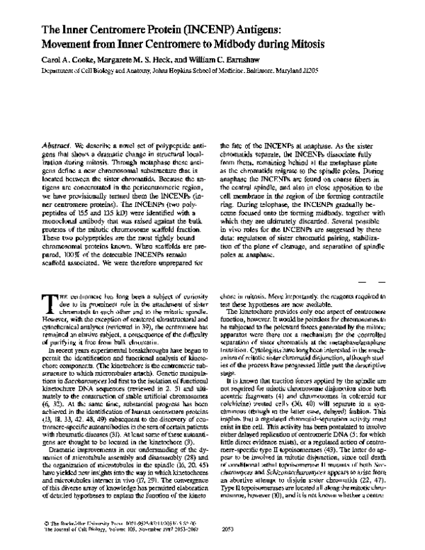 (PDF) The inner centromere protein (INCENP) antigens: movement from ...