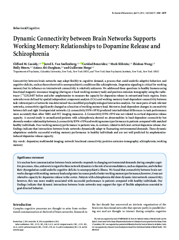 (PDF) Dynamic Connectivity between Brain Networks Supports Working ...