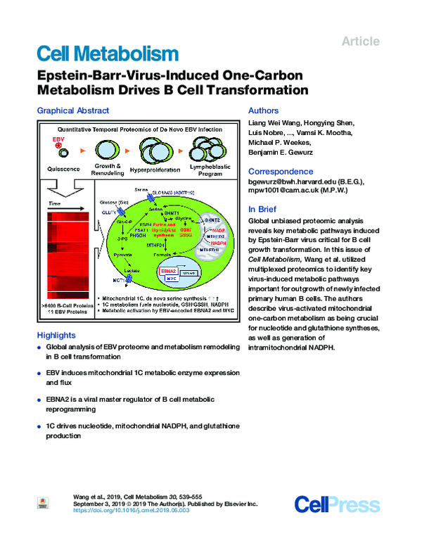 (PDF) Epstein-Barr-Virus-Induced One-Carbon Metabolism Drives B Cell ...