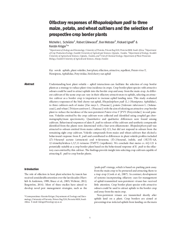 (PDF) Olfactory responses of Rhopalosiphum padi to three maize, potato ...