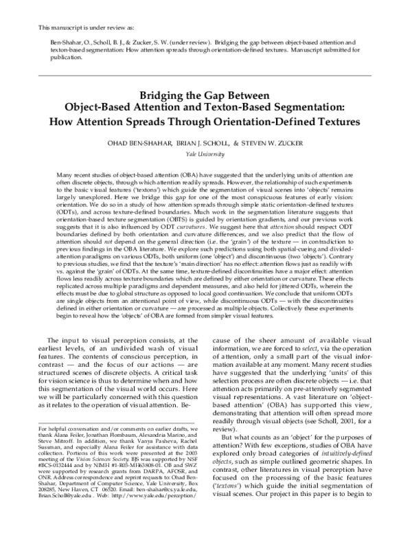(PDF) Bridging the Gap Between Object-Based Attention and Texton-Based ...
