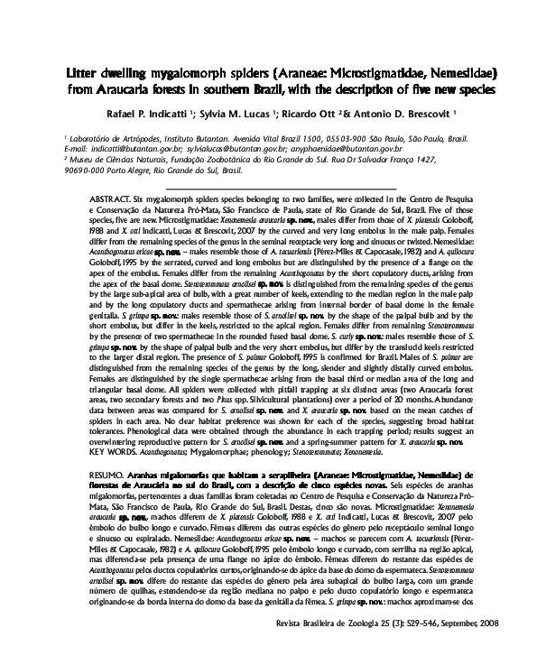 (PDF) Litter dwelling mygalomorph spiders (Araneae: Microstigmatidae ...