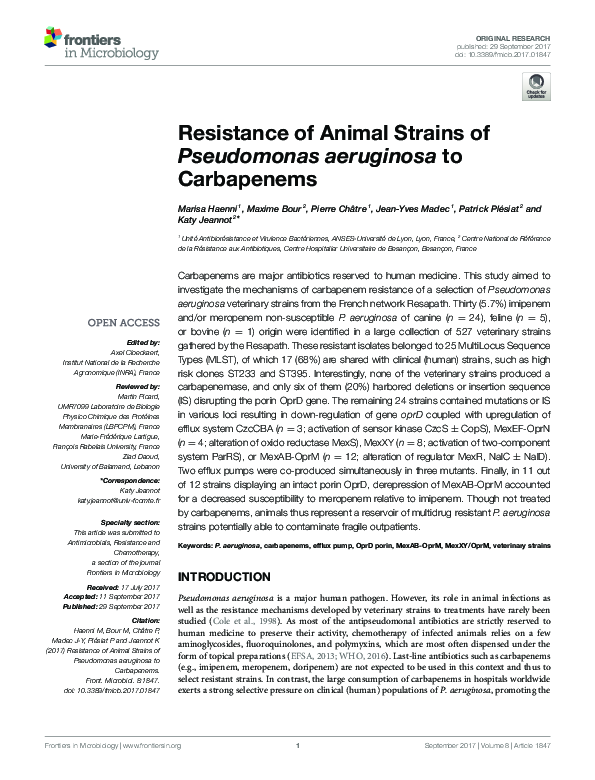 (PDF) Resistance of Animal Strains of Pseudomonas aeruginosa to Carbapenems