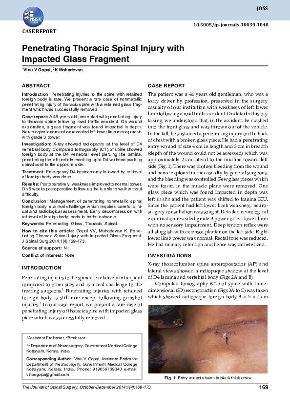 (PDF) Penetrating Thoracic Spinal Injury with Impacted Glass Fragment