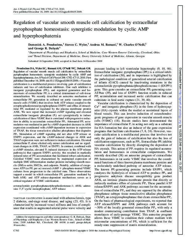 (PDF) Regulation of vascular smooth muscle cell calcification by ...