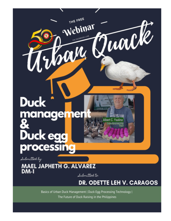 (PDF) Duck Management and Duck Egg Processing: A Project Management ...