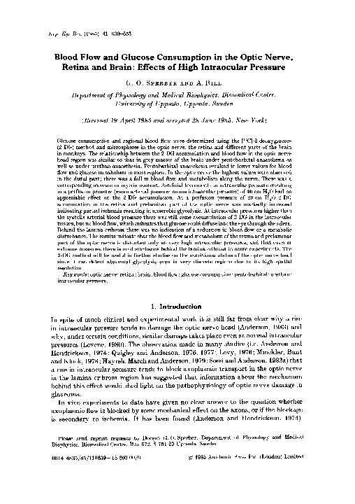 (PDF) Blood flow and glucose consumption in the optic nerve, retina and ...