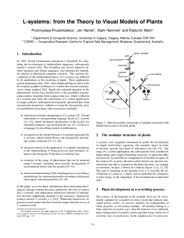(PDF) L-systems: from the theory to visual models of plants