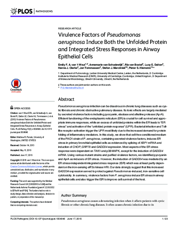 (PDF) Virulence Factors of Pseudomonas aeruginosa Isolated from Wound ...