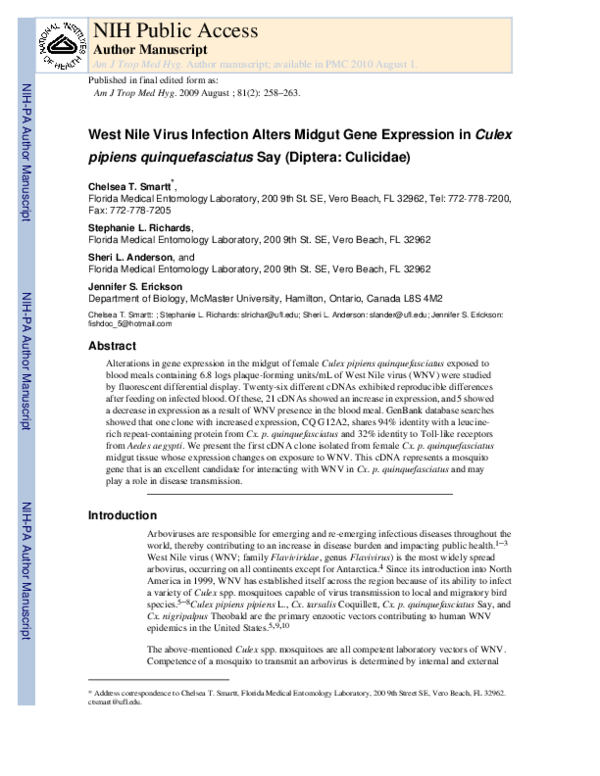 (PDF) West Nile virus infection alters midgut gene expression in Culex ...
