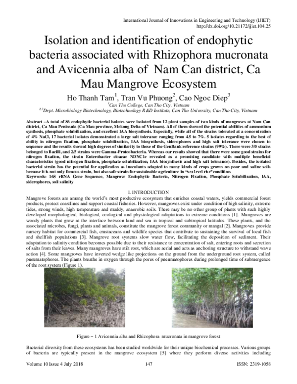 (PDF) Isolation and identification of endophytic bacteria associated ...