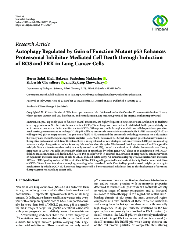 (PDF) Autophagy Regulated by Gain of Function Mutant p53 Enhances ...