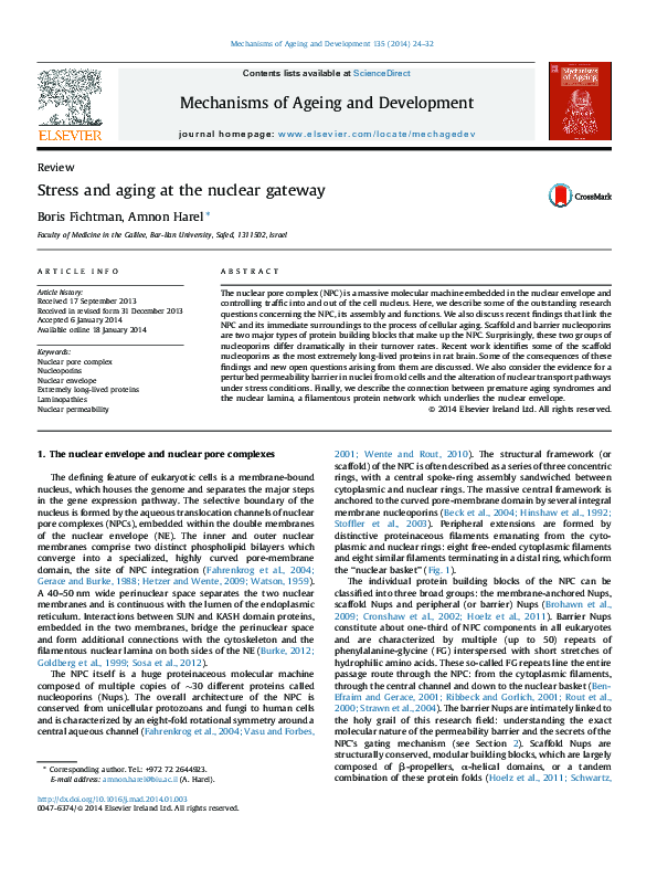 (PDF) Stress and aging at the nuclear gateway
