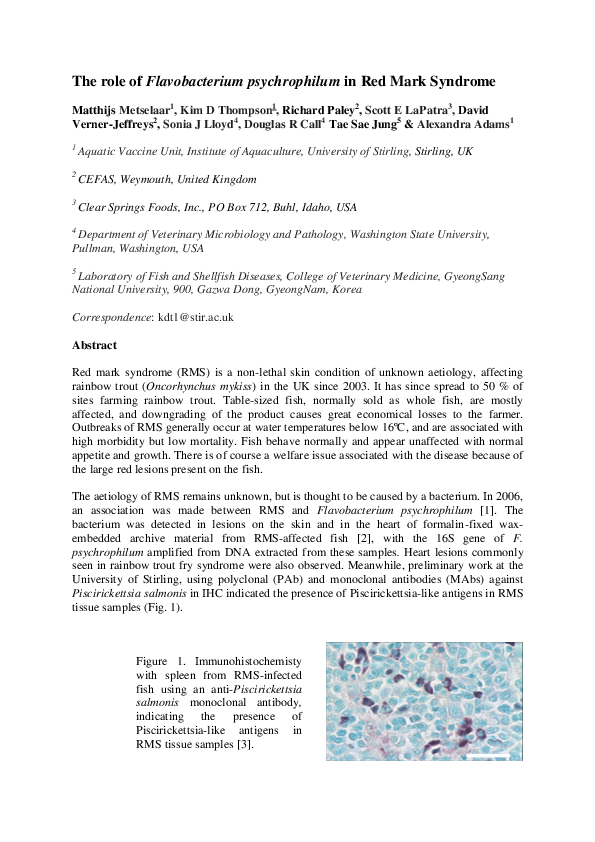 (PDF) The role of Flavobacterium psychrophilum in Red Mark Syndrome