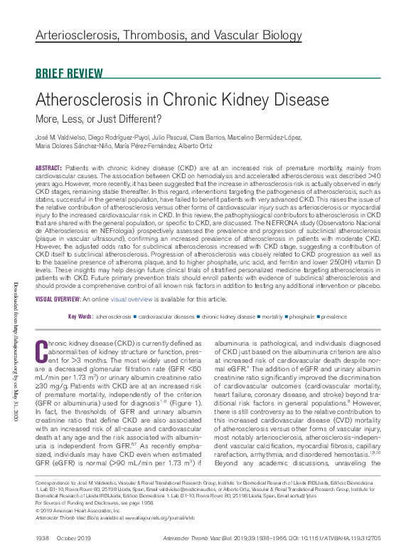 (PDF) Atherosclerosis in Chronic Kidney Disease