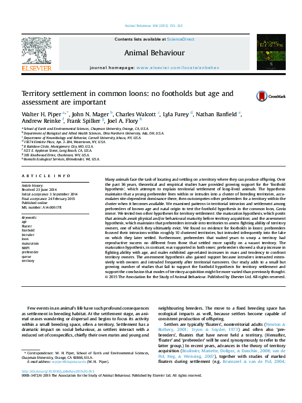 (PDF) Territory settlement in common loons: no footholds but age and ...