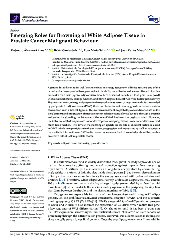 (PDF) Emerging Roles for Browning of White Adipose Tissue in Prostate ...