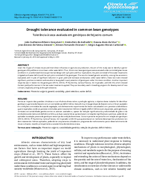 (PDF) Drought tolerance evaluated in common bean genotypes