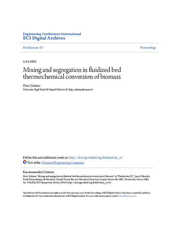 (PDF) Mixing and segregation in fluidized bed thermochemical conversion ...