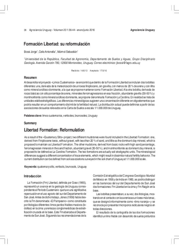 (PDF) Libertad Formation Reformulation
