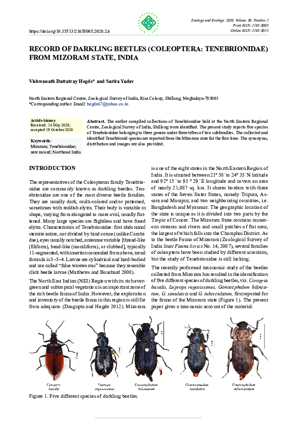 (PDF) Record of darkling beetles (Coleoptera: Tenebrionidae) from ...