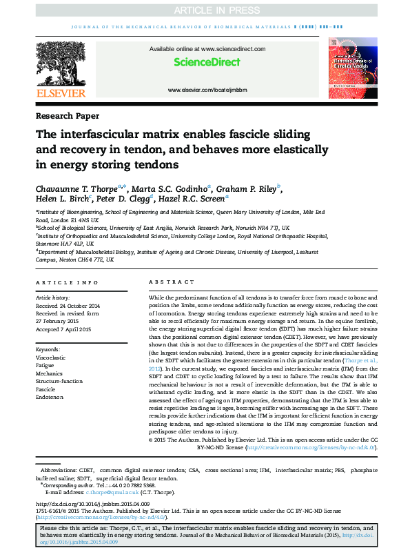 (PDF) The interfascicular matrix enables fascicle sliding and recovery ...
