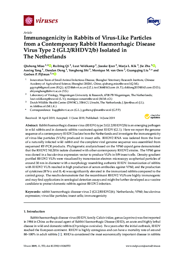 (PDF) Immunogenicity in Rabbits of Virus-Like Particles from a ...