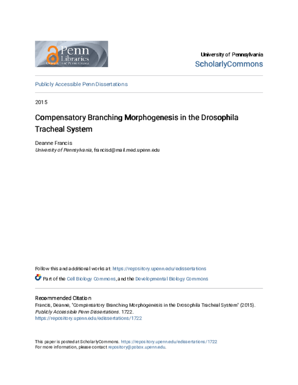 (PDF) Compensatory branching morphogenesis in the Drosophila tracheal ...
