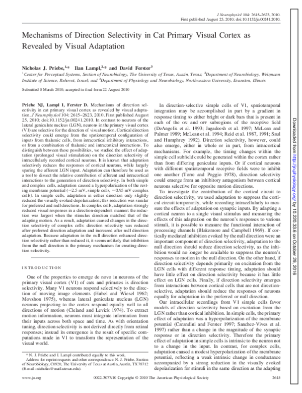Pdf Mechanisms Of Direction Selectivity In Cat Primary Visual Cortex Pdf Mechanisms Of Direction Selectivity In Cat Primary Visual Cortex