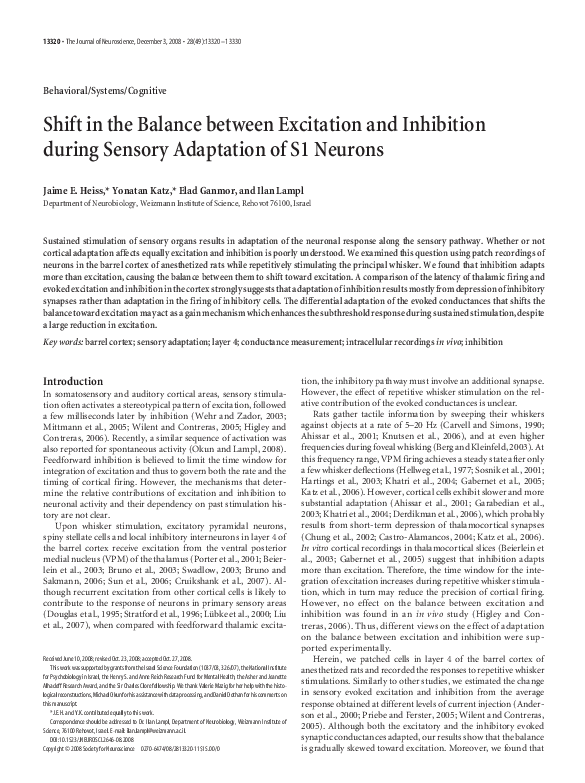 (PDF) Shift in the balance between excitation and inhibition during ...