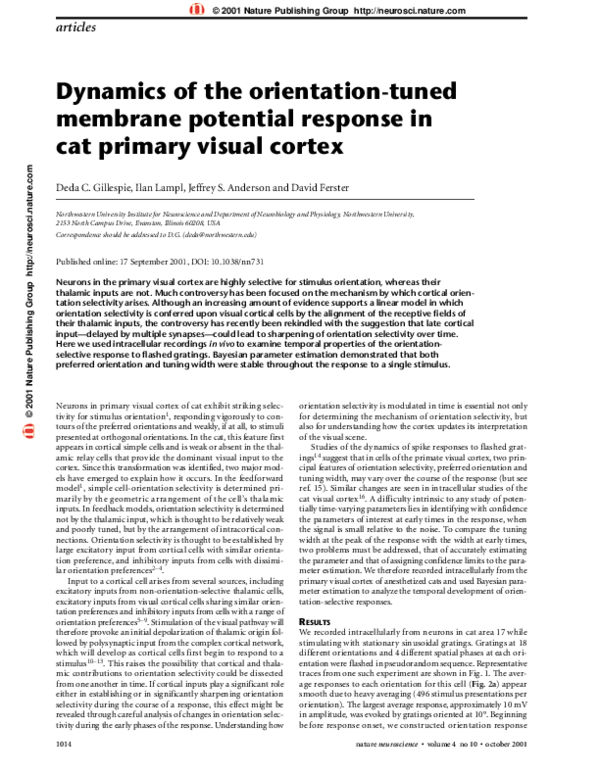 (PDF) Dynamics of the orientation-tuned membrane potential response in ...