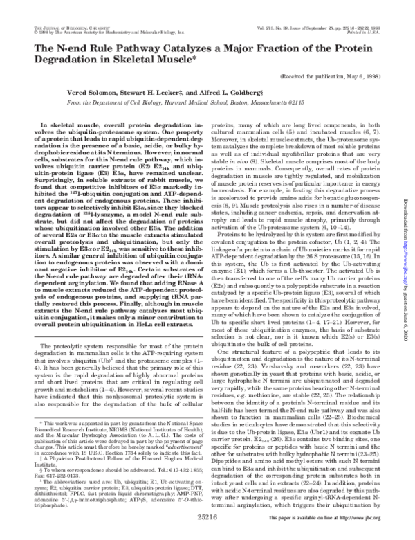 (PDF) The N-end Rule Pathway Catalyzes a Major Fraction of the Protein ...