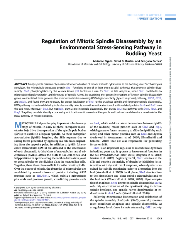 (PDF) Regulation of mitotic spindle disassembly by an environmental ...