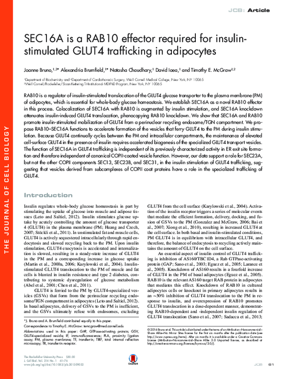 (PDF) SEC16A is a RAB10 effector required for insulin-stimulated GLUT4 ...