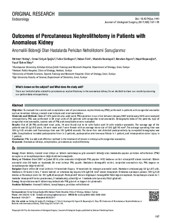 (PDF) Outcomes of Percutaneous Nephrolithotomy in Patients with ...