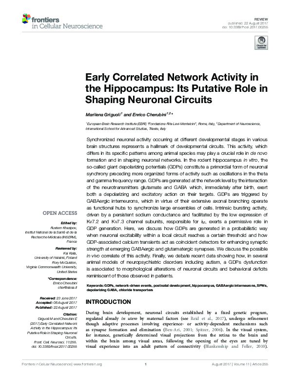 (PDF) Early Correlated Network Activity in the Hippocampus: Its ...