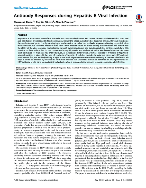 (PDF) Antibody Responses during Hepatitis B Viral Infection