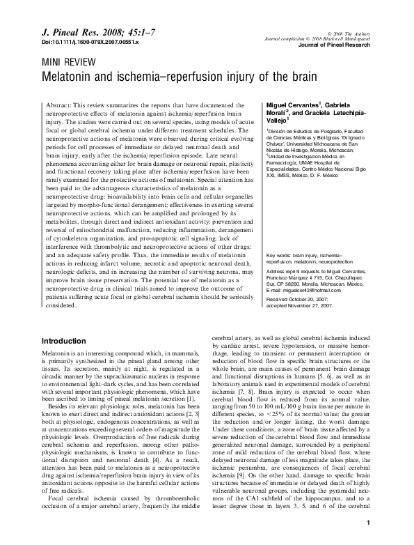 (PDF) Melatonin and ischemia reperfusion injury of the brain