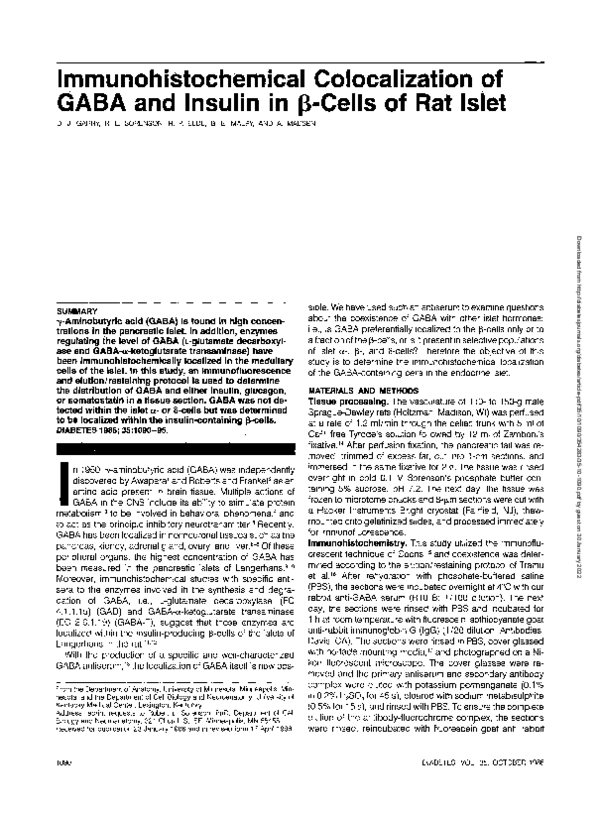 (PDF) Immunohistochemical colocalization of GABA and insulin in beta ...