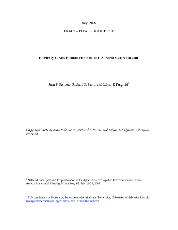 (PDF) Efficiency of New Ethanol Plants in the U.S. North