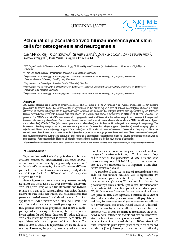 (PDF) Potential of placental-derived human mesenchymal stem cells for ...
