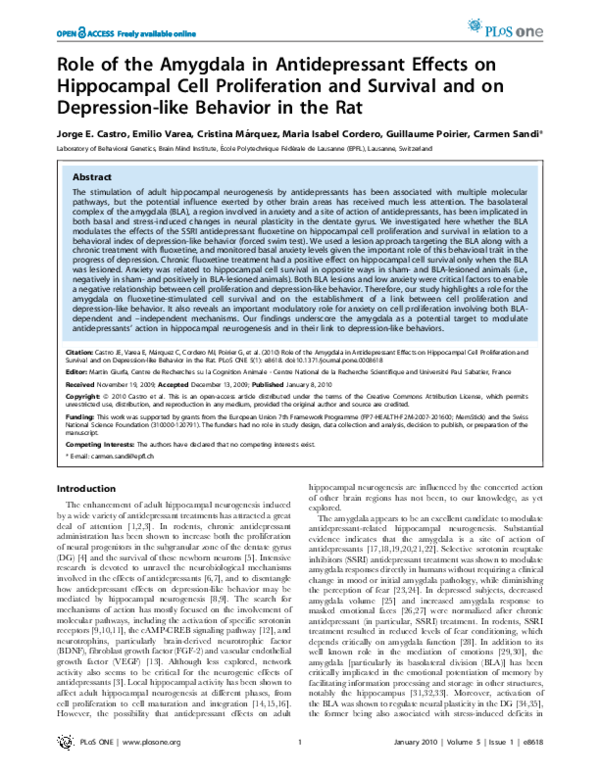 (PDF) Role of the Amygdala in Antidepressant Effects on Hippocampal ...